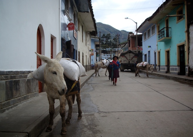 PE Chavin Burro